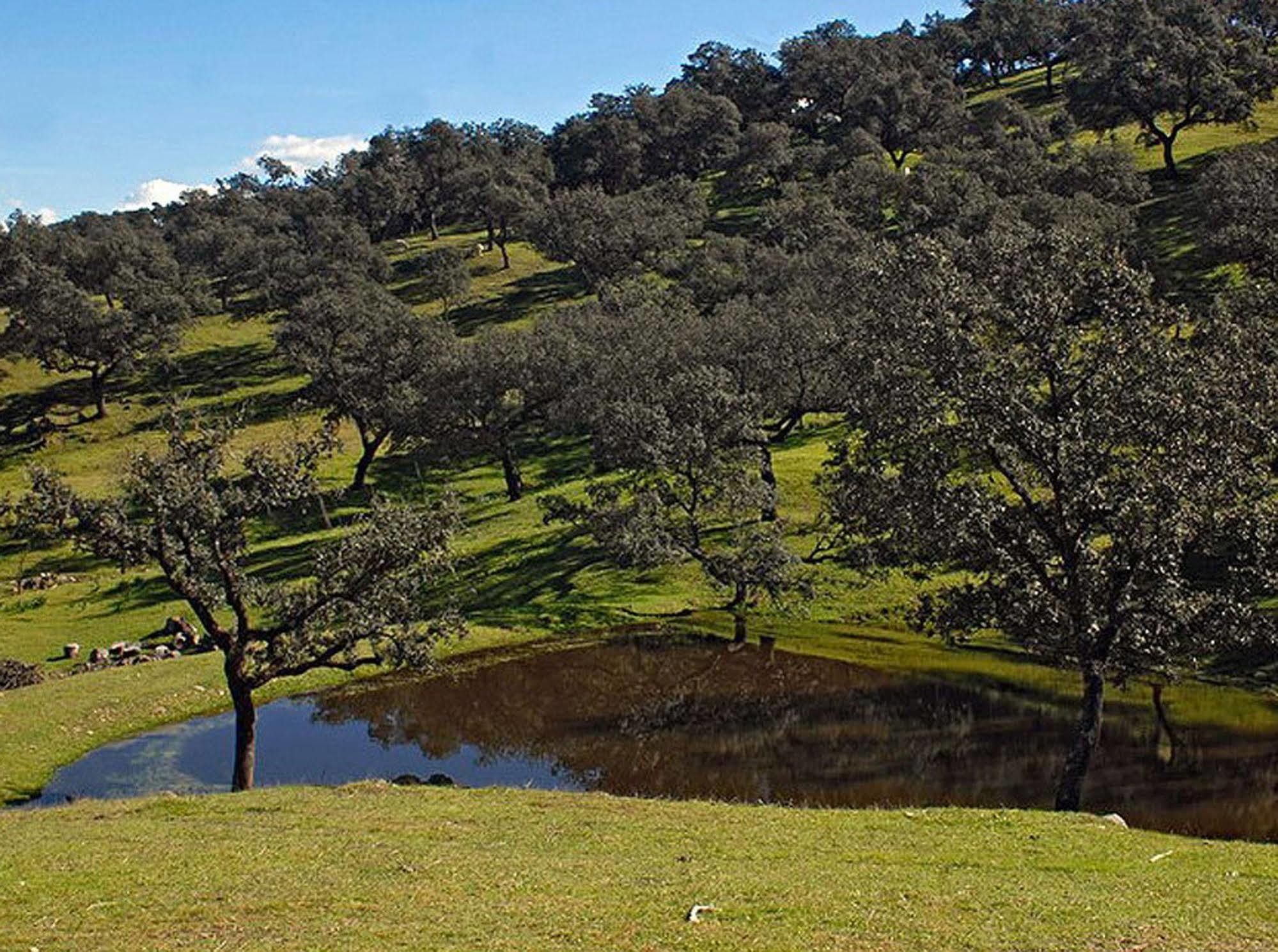 Hospederia Reina De Los Angeles Aracena Exteriör bild